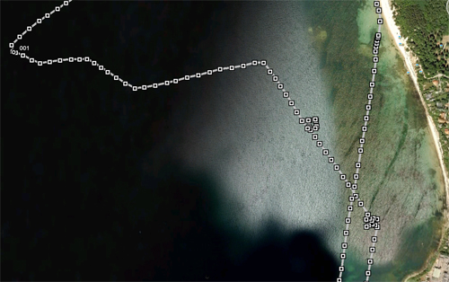 1000km-2010